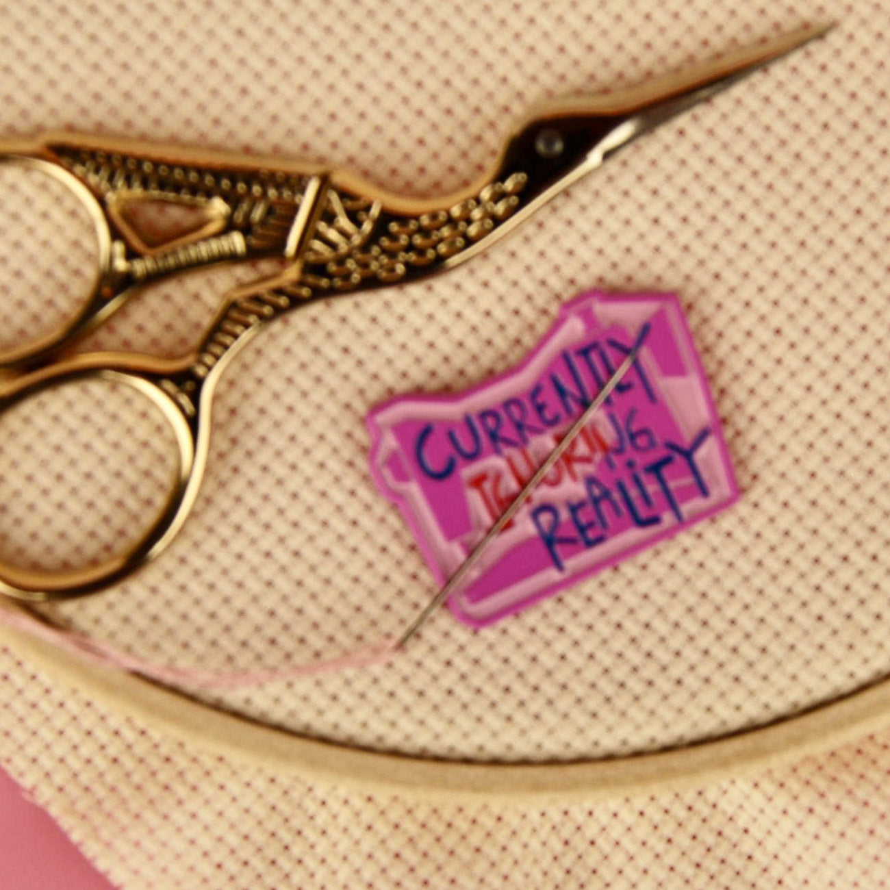 Ignoring Reality - Needle Minder